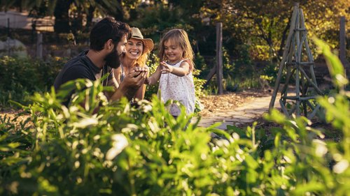 Kapital aufbauen, aber wie? Eine Familie spielt im Garten und lacht. 